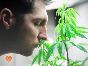 Детоксикация от марихуаны в Нурлате